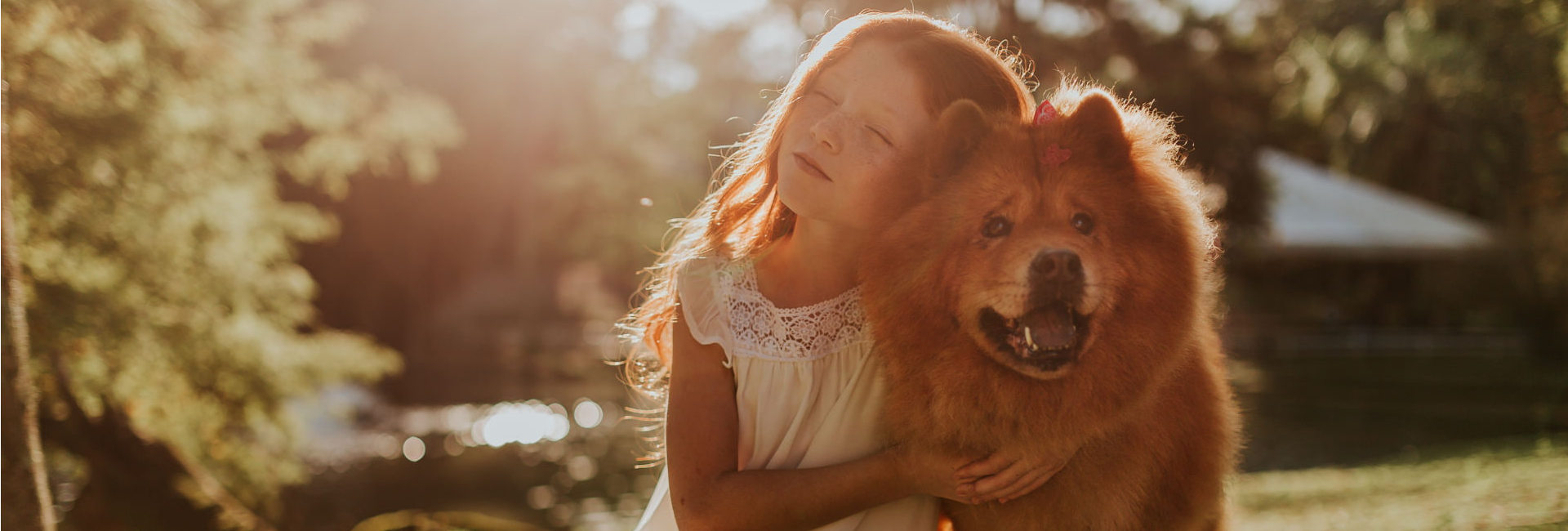 Mädchen Umarmung Hund Rasen