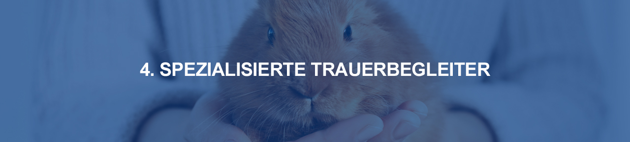 Auf die Trauer vorbereiten – Trauerbegleiter Kaninchen auf der Hand einer Person