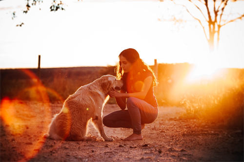 Frau und Hund im Sonnenuntergang