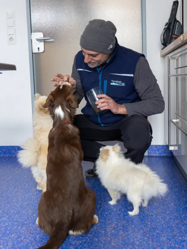 Leckerli-Zeit für die Hunden in der Tierarztpraxis